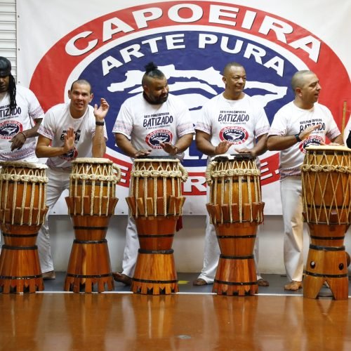 Arte Pura capoeira